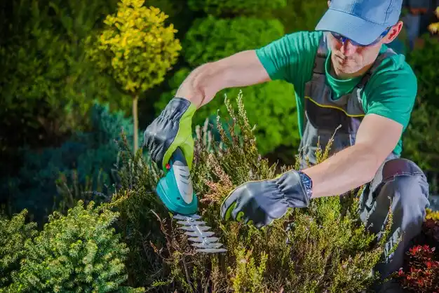 landscaping services Buffalo